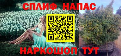 экстази Будённовск