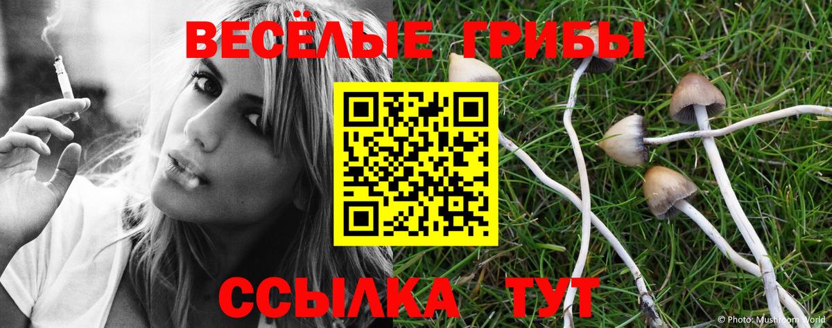 Галлюциногенные грибы мицелий Орск