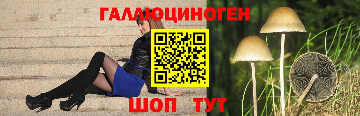 Псилоцибиновые грибы ЛСД  Вход с VPN  магазин продажи наркотиков  Галлюциногенные грибы MAGIC MUSHROOMS  Орск 